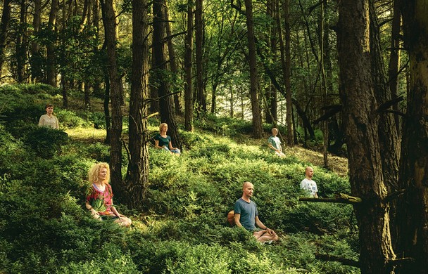 Bild: Meditation im Wald
